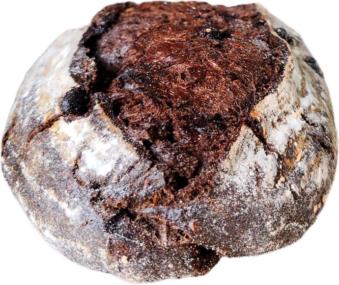Masa madre de chocolate